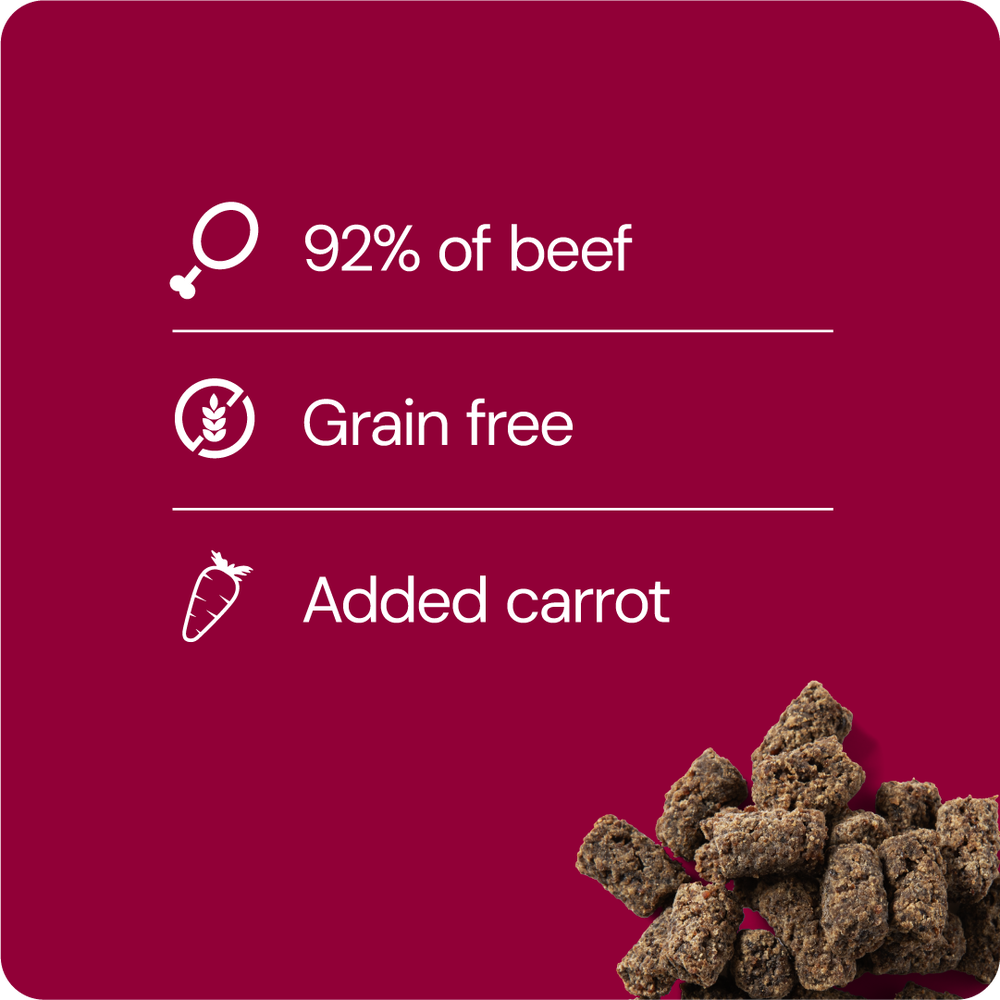 RAUH! by Nutriment - Hundgodis Kalltorkade köttbullar